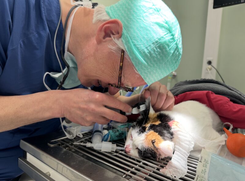 Bildschirmfoto 2025 04 21 um 16 44 27