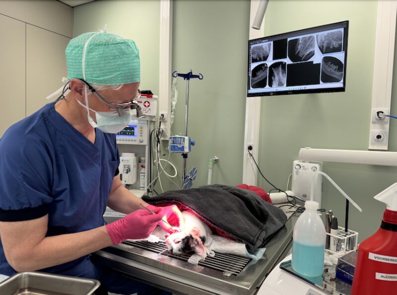 Bildschirmfoto 2025 04 21 um 16 44 41