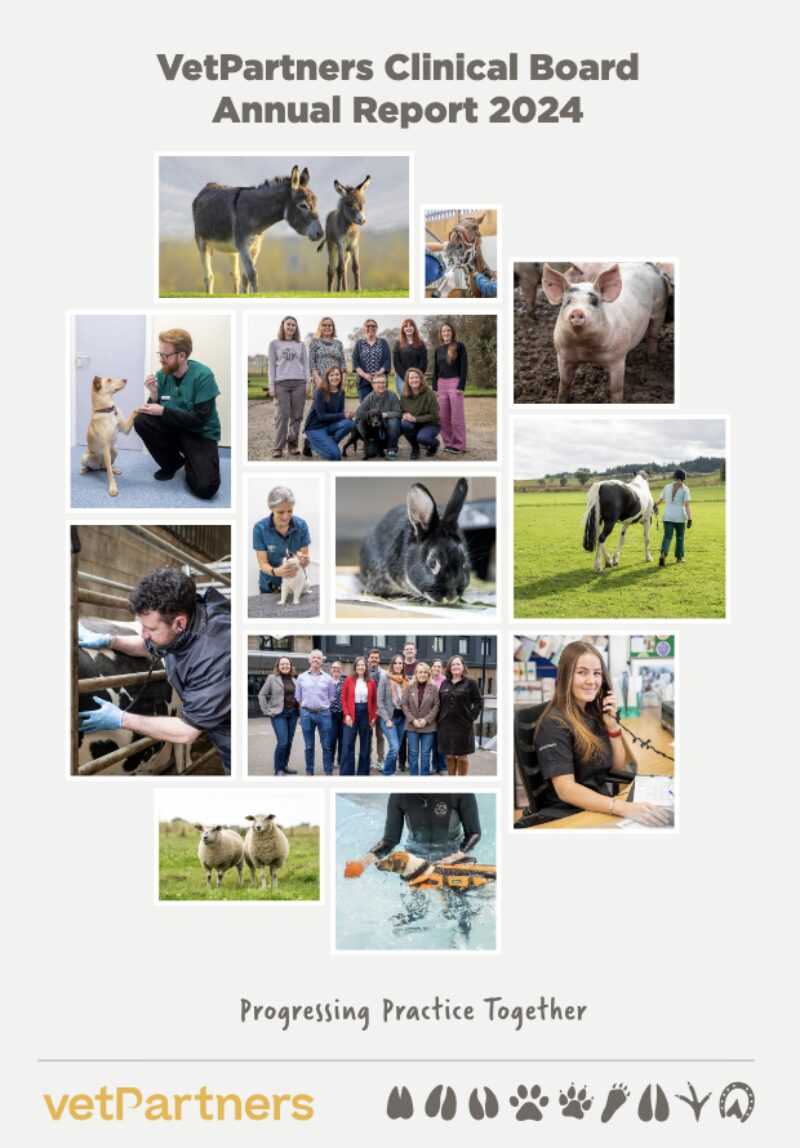 Bildschirmfoto 2025 04 27 um 12 20 49