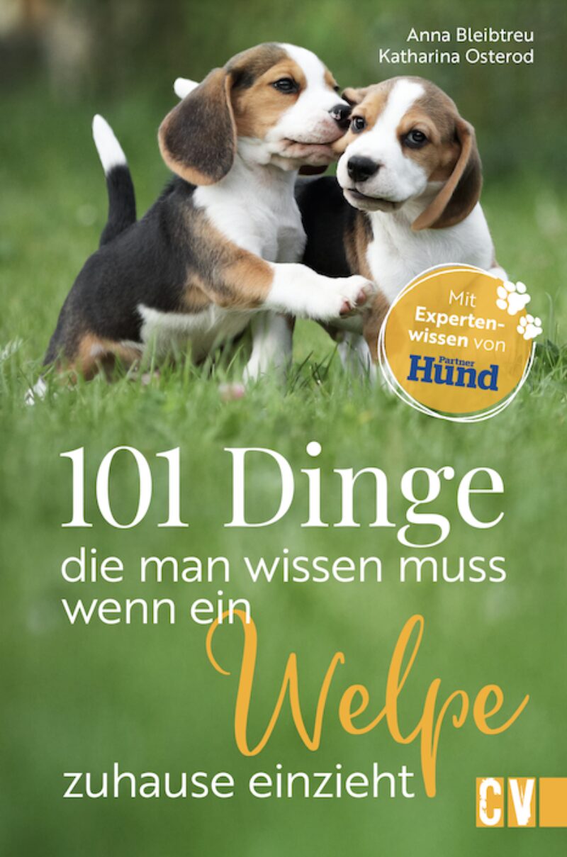 Bildschirmfoto 2025 05 06 um 10 02 38