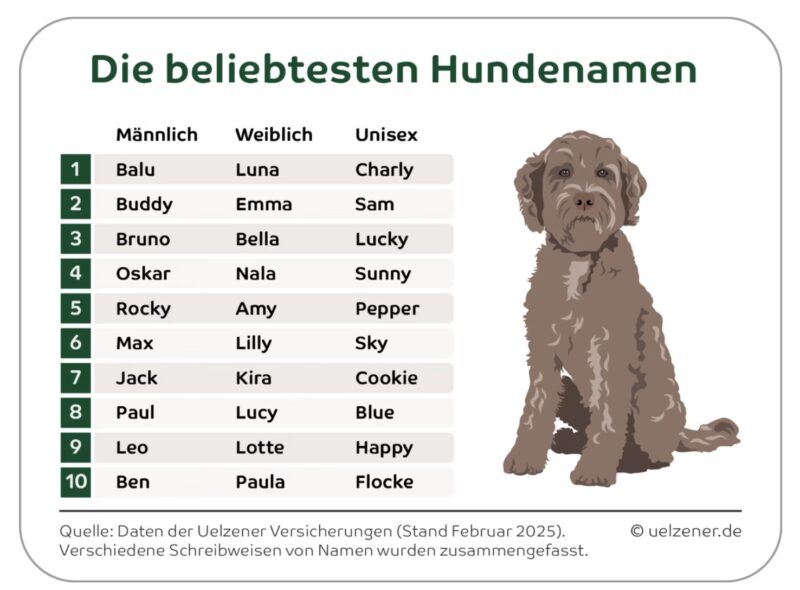 Bildschirmfoto 2025 05 06 um 16 17 20