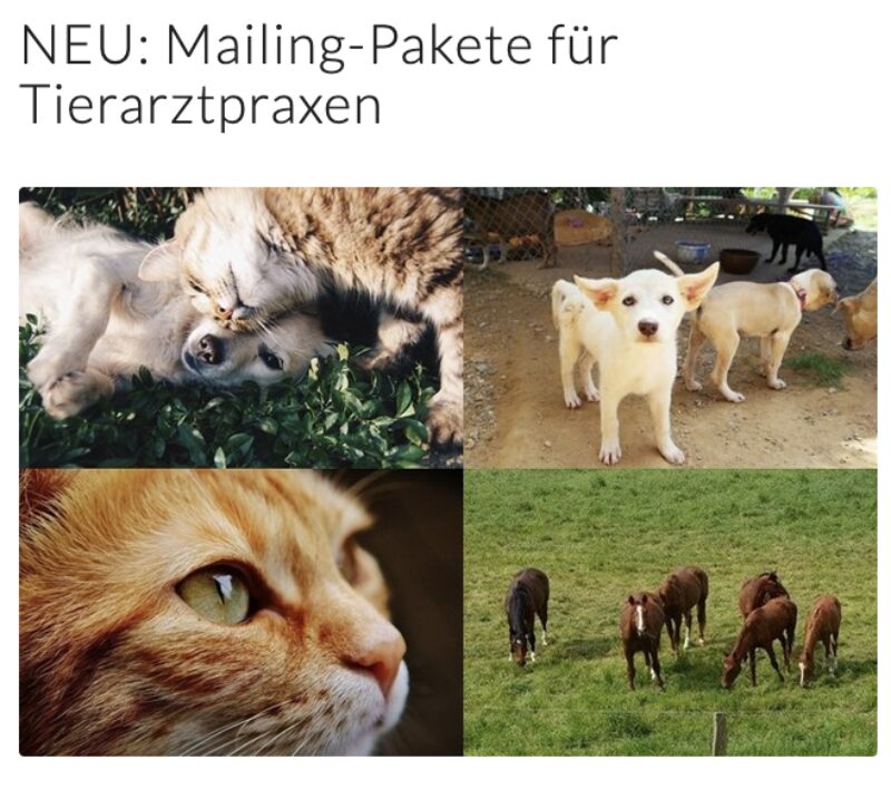 Bildschirmfoto 2025 05 06 um 19 03 13