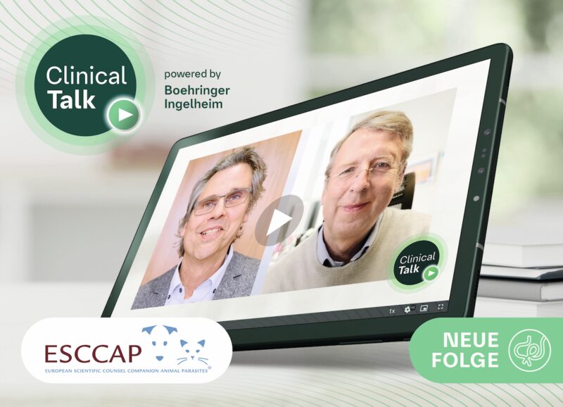 Bildschirmfoto 2025 05 20 um 15 48 14