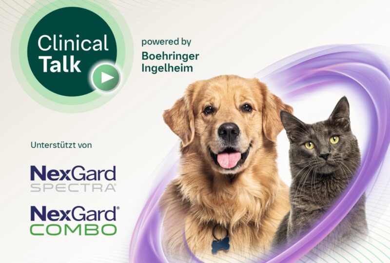 Bildschirmfoto 2025 05 20 um 15 48 31