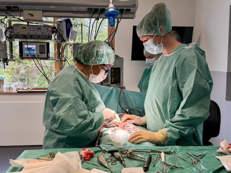 Bildschirmfoto 2025 05 20 um 18 24 13