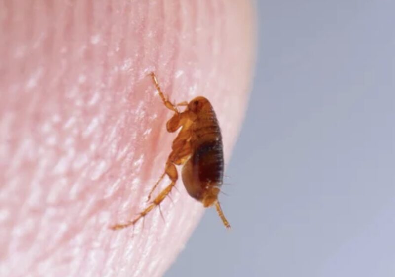 Bildschirmfoto 2025 05 21 um 17 36 46