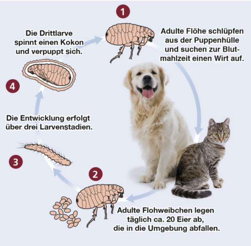 Bildschirmfoto 2025 05 22 um 10 12 11