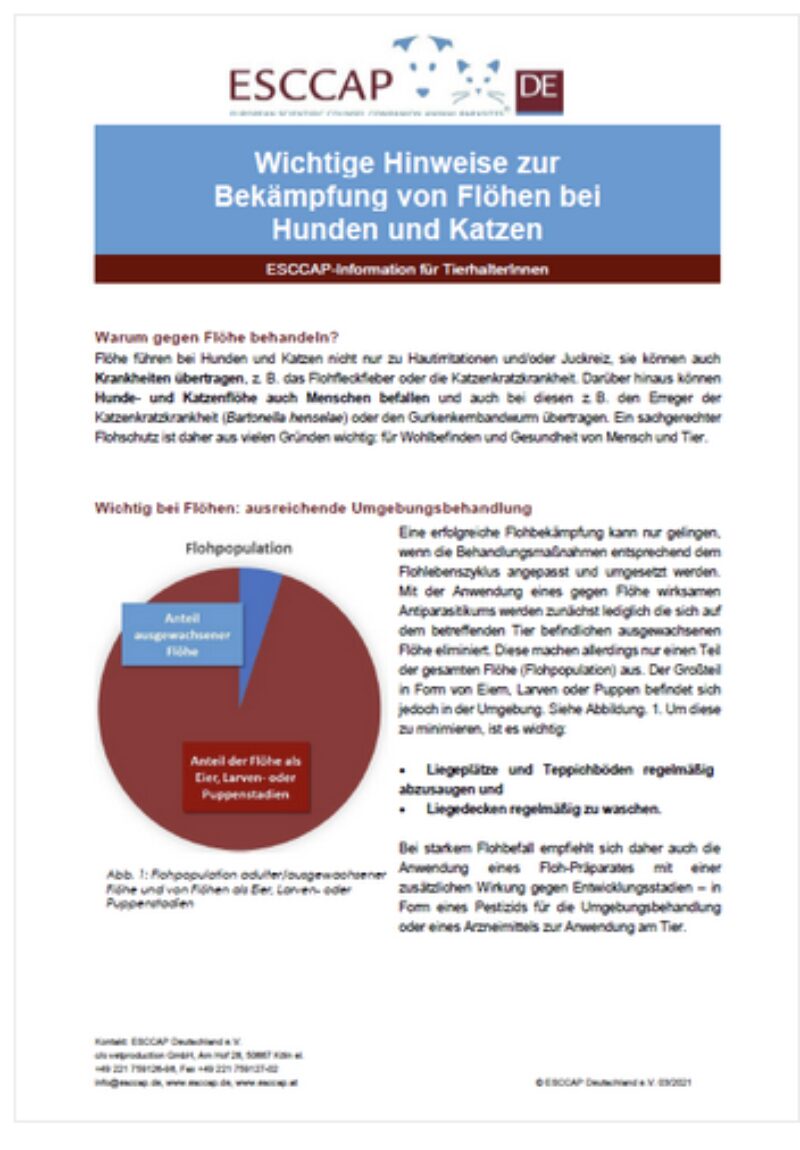 Bildschirmfoto 2025 05 22 um 10 26 49