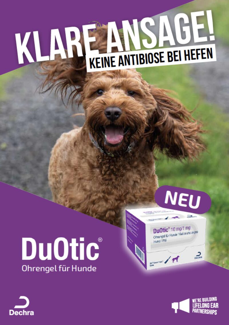 Bildschirmfoto 2025 05 23 um 17 07 13