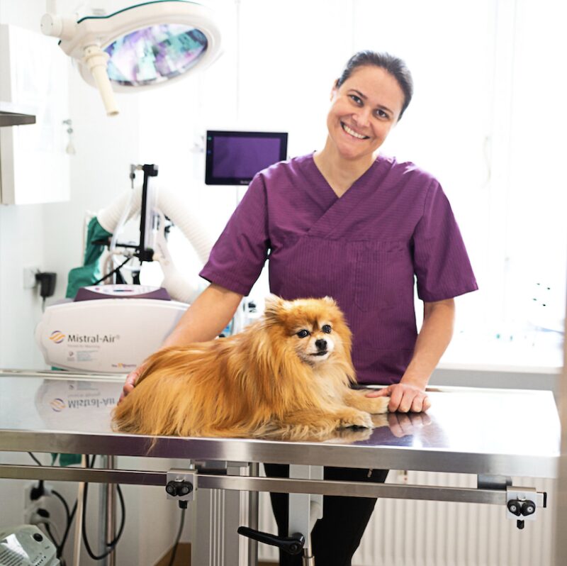 Bildschirmfoto 2025 05 24 um 08 48 24