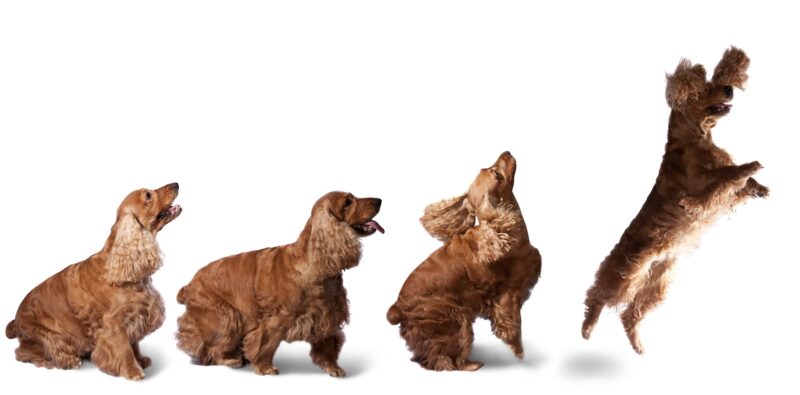 Bildschirmfoto 2025 05 24 um 08 53 41