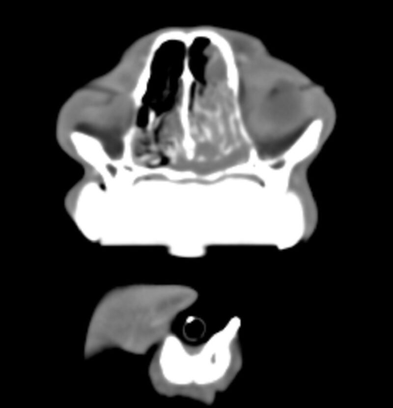 Bildschirmfoto 2025 05 24 um 09 22 11