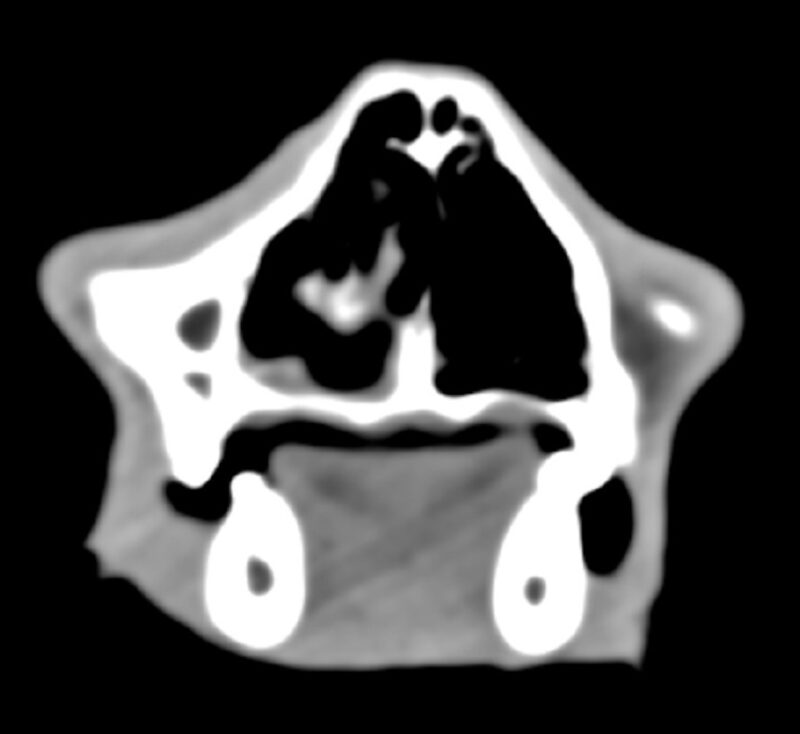 Bildschirmfoto 2025 05 24 um 09 23 27