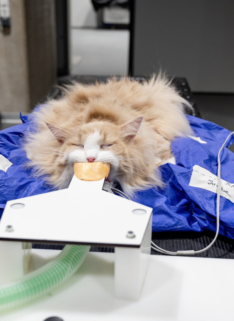 Bildschirmfoto 2025 05 24 um 09 25 01