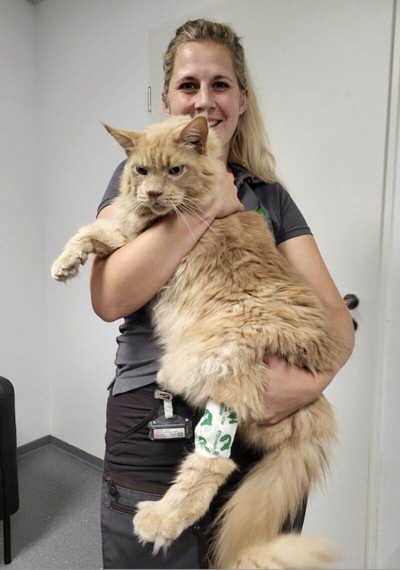 Bildschirmfoto 2025 05 24 um 09 26 07