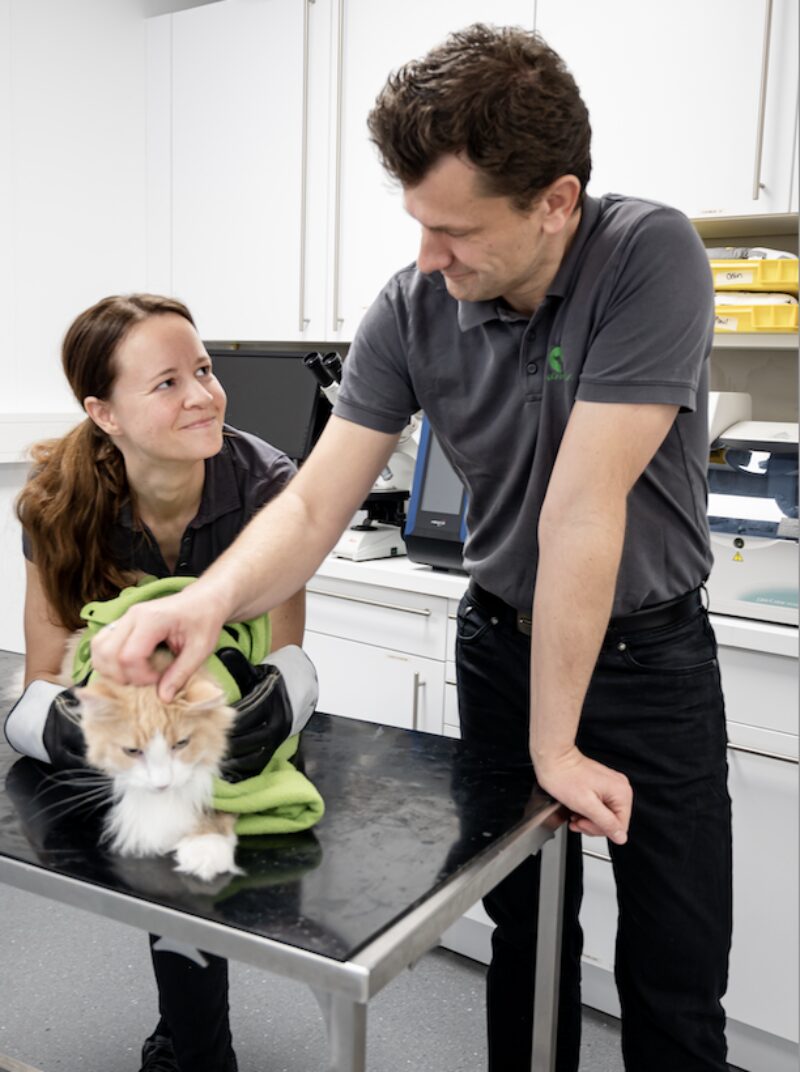 Bildschirmfoto 2025 05 24 um 09 40 53