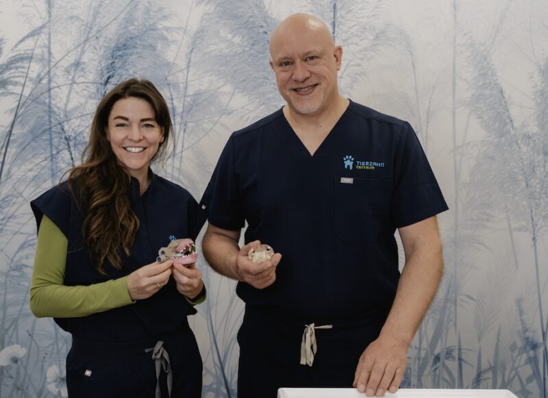 Bildschirmfoto 2025 05 27 um 13 42 28