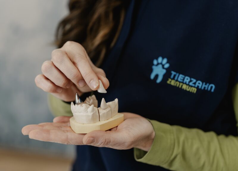 Bildschirmfoto 2025 05 27 um 14 42 44