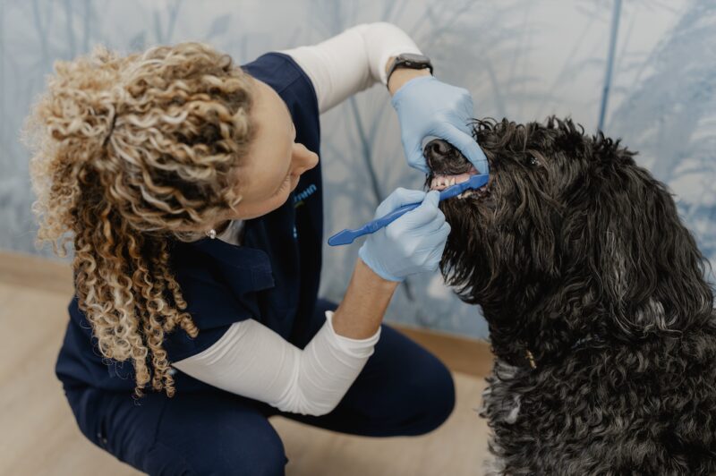 Bildschirmfoto 2025 05 27 um 14 48 23