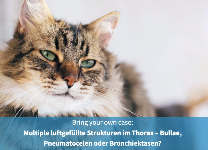 Bildschirmfoto 2025 05 30 um 12 23 45