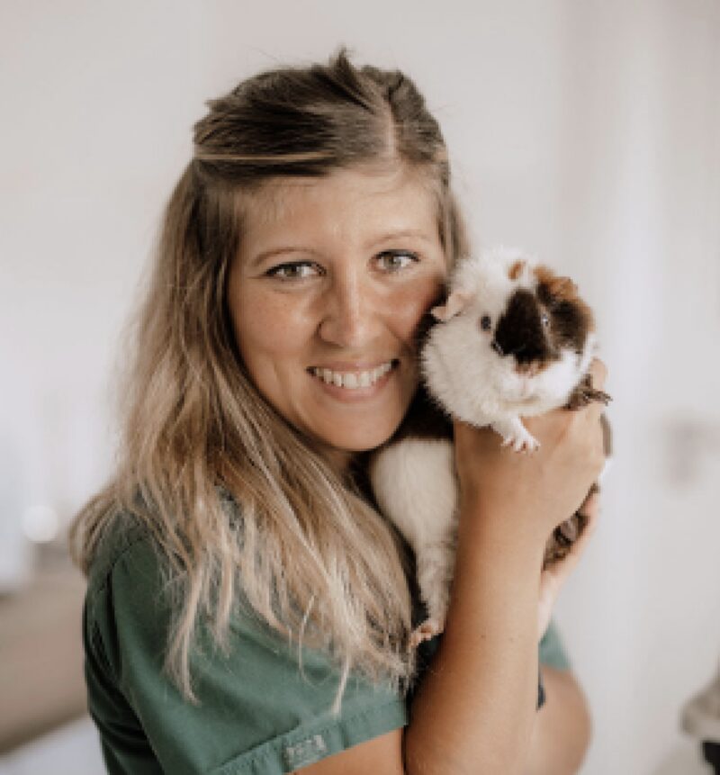 Bildschirmfoto 2025 06 10 um 11 44 05