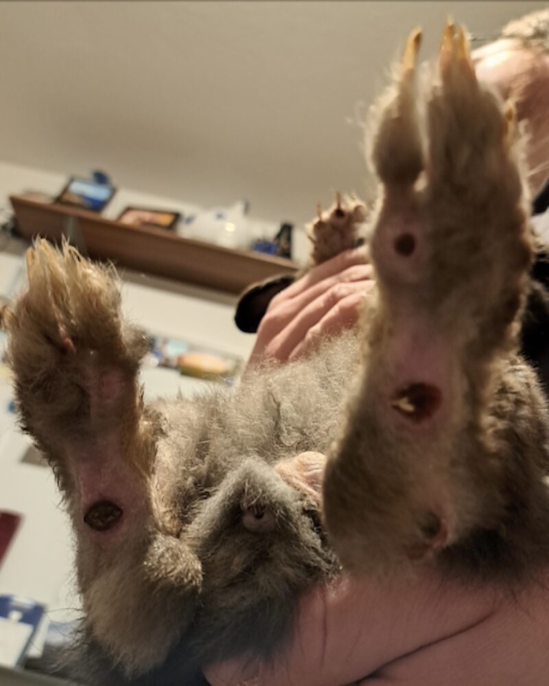 Bildschirmfoto 2025 06 10 um 11 57 32