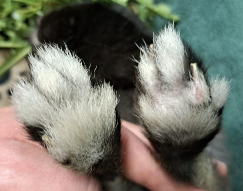 Bildschirmfoto 2025 06 10 um 11 59 52