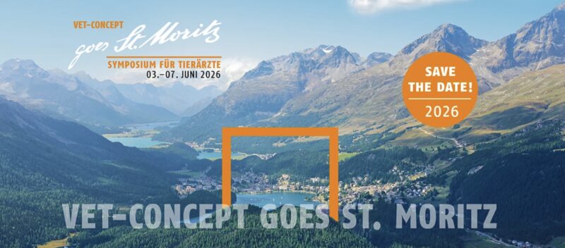 Bildschirmfoto 2025 06 12 um 16 04 47