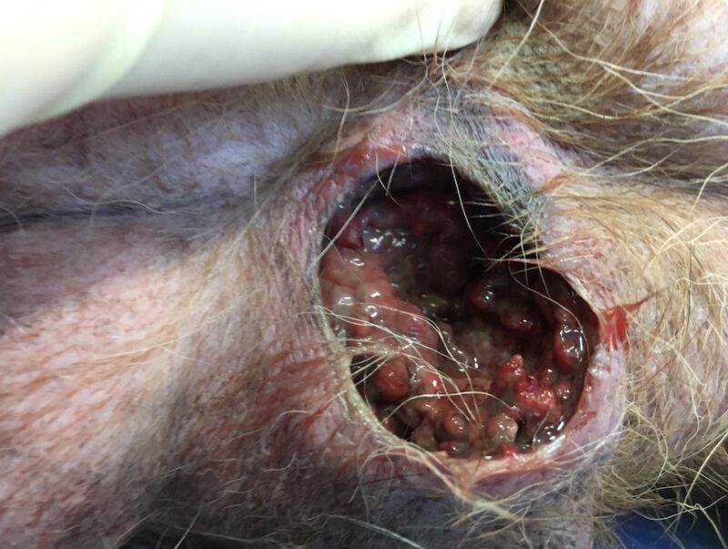 Bildschirmfoto 2025 06 13 um 09 42 12