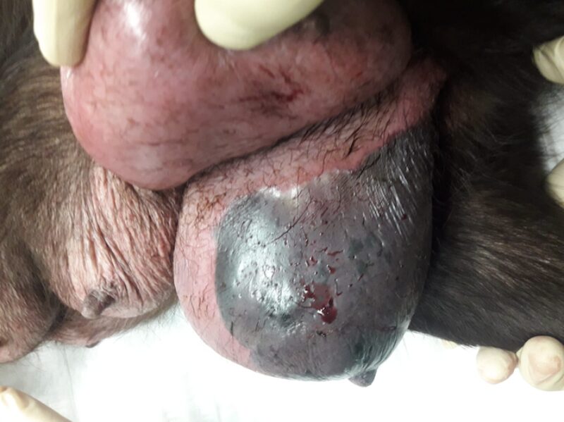 Bildschirmfoto 2025 06 13 um 09 43 27