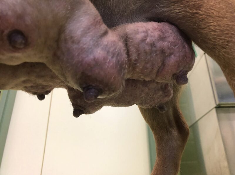 Bildschirmfoto 2025 06 13 um 09 44 17