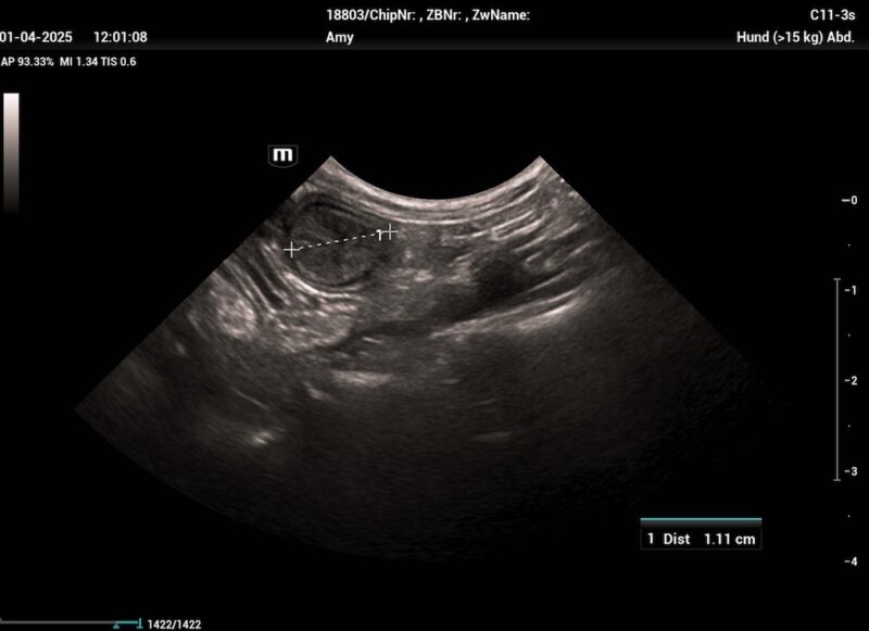 Bildschirmfoto 2025 06 13 um 09 46 27