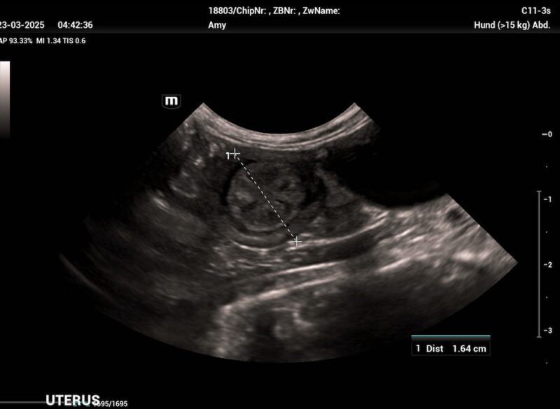 Bildschirmfoto 2025 06 13 um 09 48 04