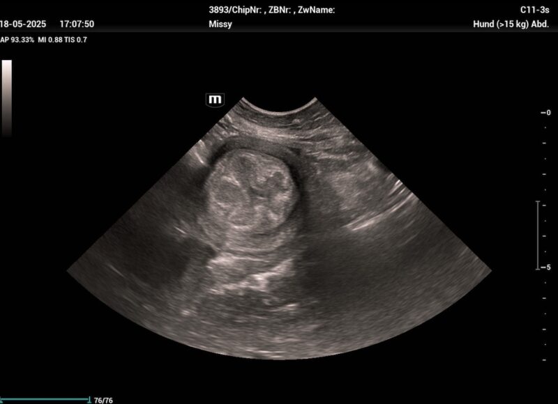 Bildschirmfoto 2025 06 13 um 09 49 12