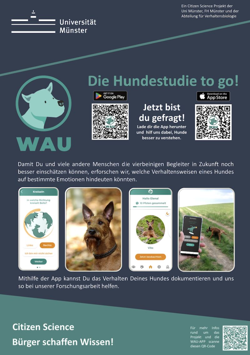 Bildschirmfoto 2025 06 18 um 15 52 24