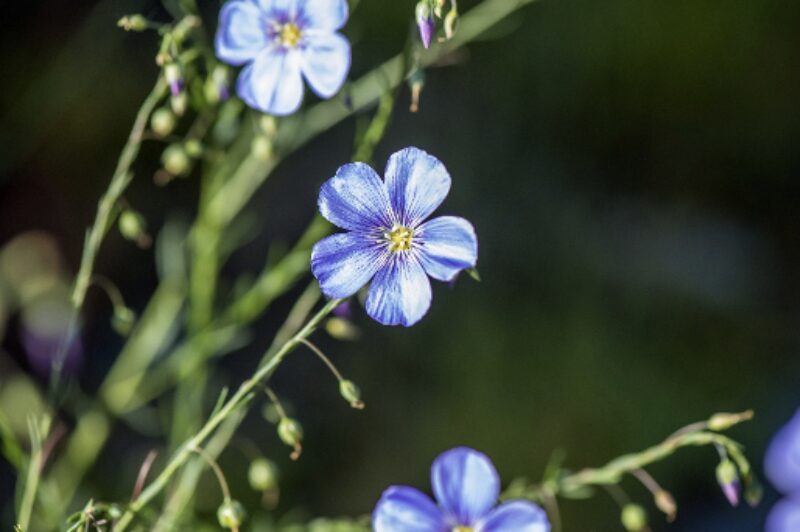 Bildschirmfoto 2025 06 20 um 11 32 38