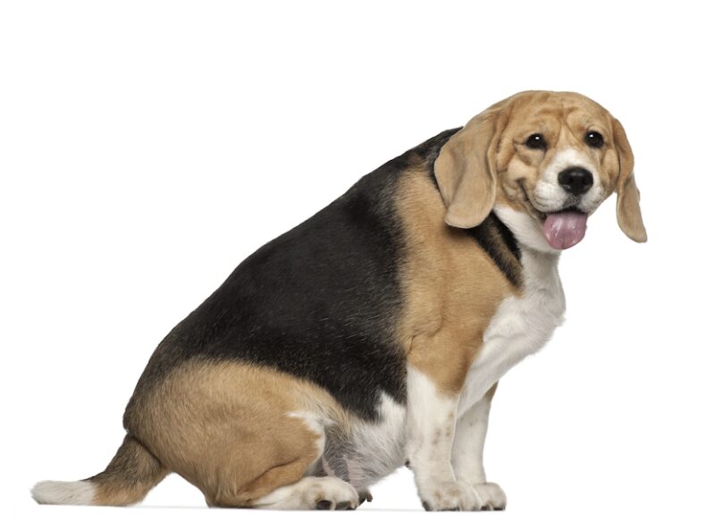 Bildschirmfoto 2025 06 20 um 11 34 18