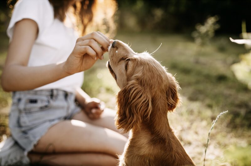 Bildschirmfoto 2025 06 20 um 11 37 43