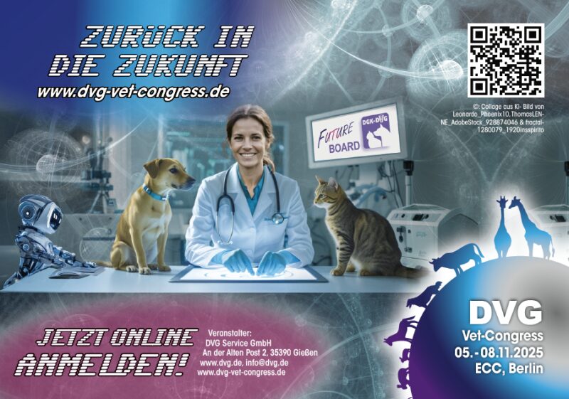 Bildschirmfoto 2025 06 20 um 15 31 47