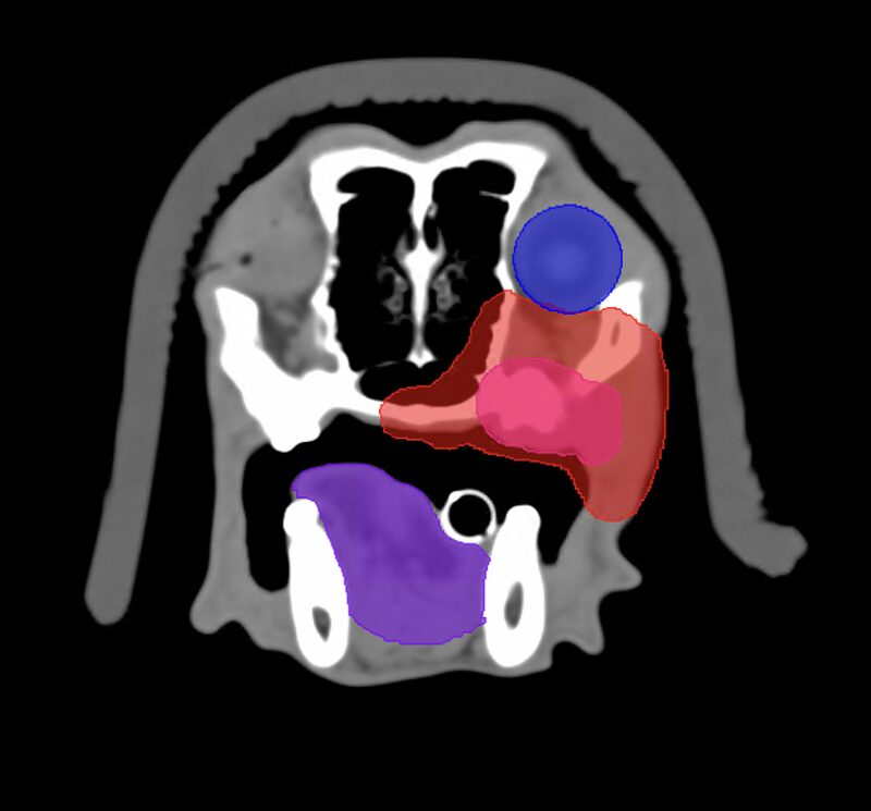 Bildschirmfoto 2025 06 22 um 14 53 16