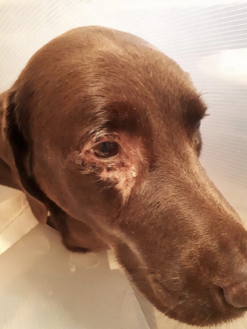 Bildschirmfoto 2025 06 22 um 14 53 27