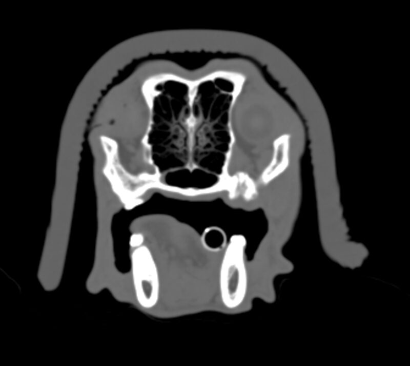Bildschirmfoto 2025 06 22 um 14 53 38