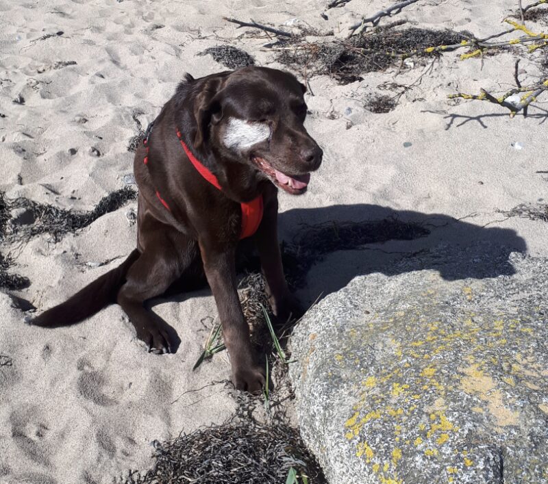 Bildschirmfoto 2025 06 22 um 14 53 54