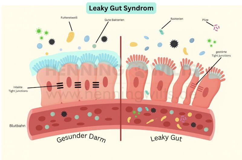 Bildschirmfoto 2025 06 22 um 16 17 37