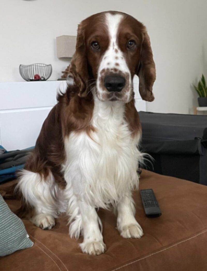 Bildschirmfoto 2025 06 22 um 16 50 46