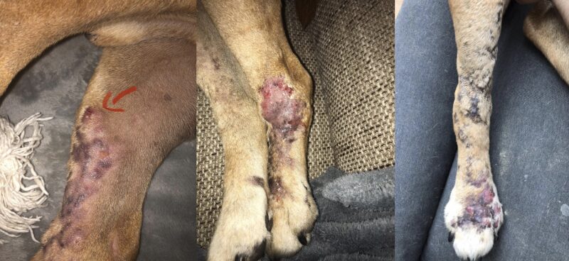 Bildschirmfoto 2025 06 22 um 16 45 41