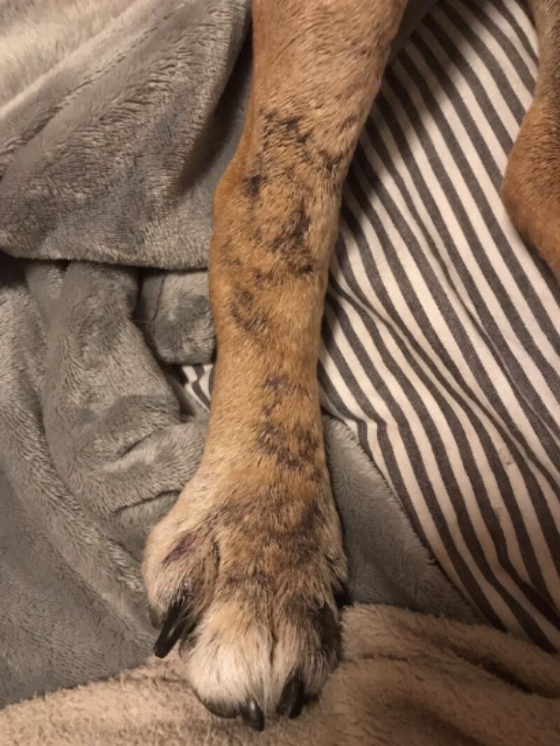 Bildschirmfoto 2025 06 22 um 16 45 51