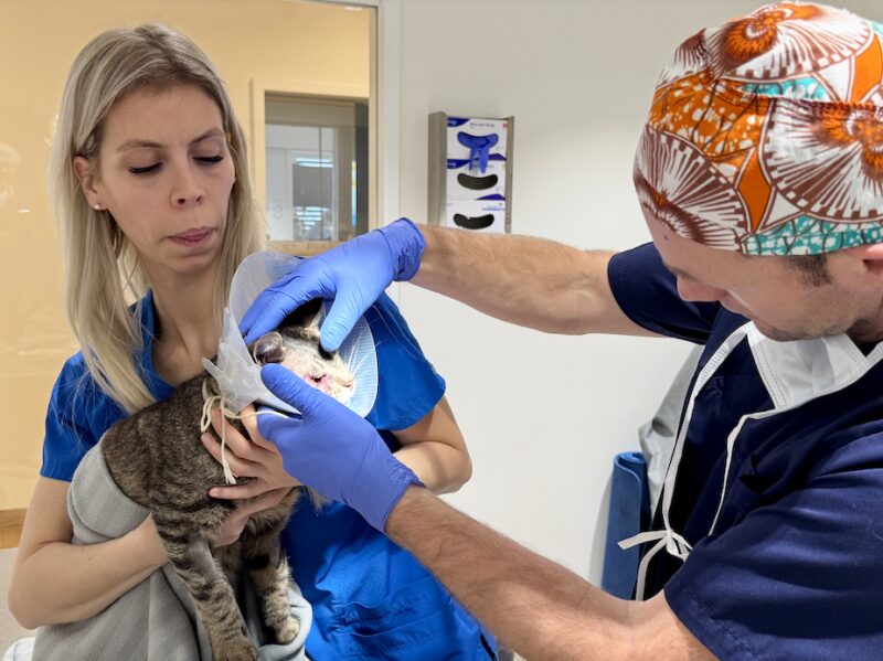 Bildschirmfoto 2025 06 23 um 10 53 48