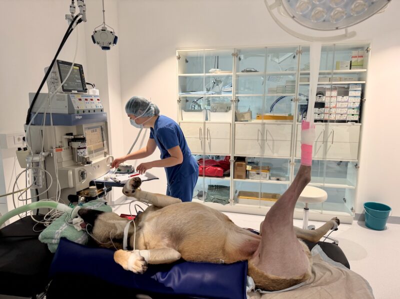 Bildschirmfoto 2025 06 23 um 10 58 27