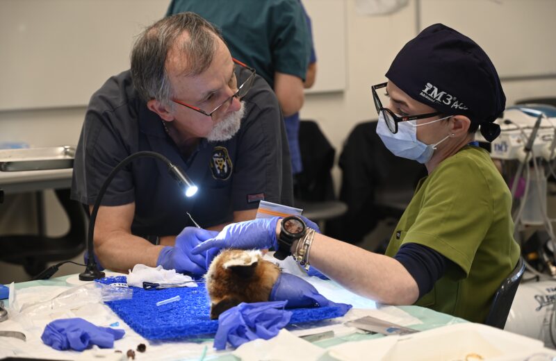 Bildschirmfoto 2025 06 24 um 02 01 36